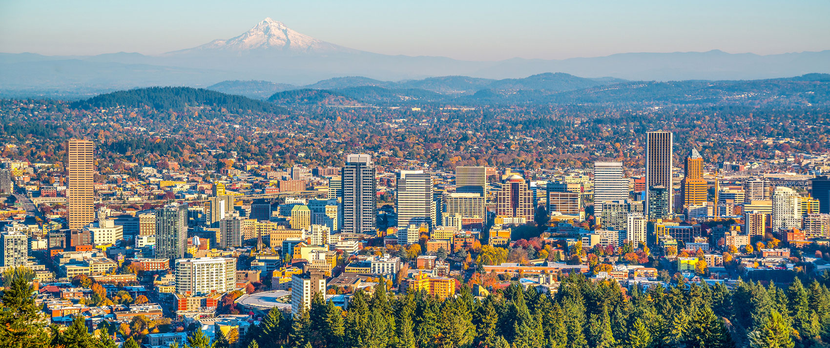 Check Out Our Savings